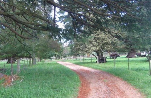 Bundanoon Apartamento | "Ferndale" Farm Stay in Exeter