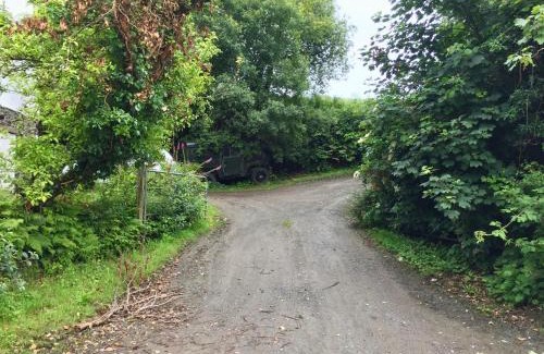 Skibbereen Casa | Fernery Garden cottage, near Skibbereen