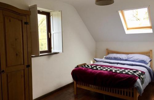 Skibbereen Casa | Fernery Garden cottage, near Skibbereen