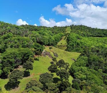 Anse Jonchee Cabina | Ferney Nature Lodge