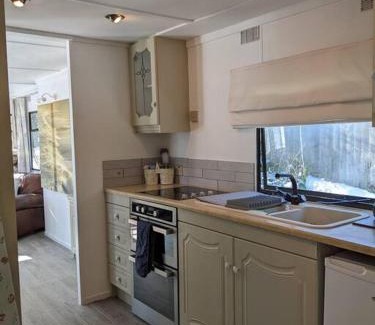 Graigfechan Casa | Ferny Roost Cabin.