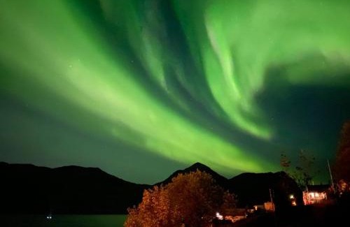 Torsken Casa | FERRYtale, cozy, spacious house on Senja