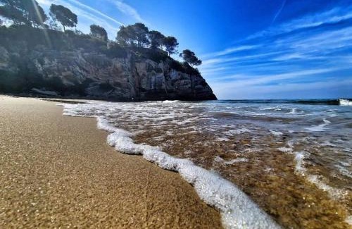 Cap de Salou Apartamento | Festival village salou