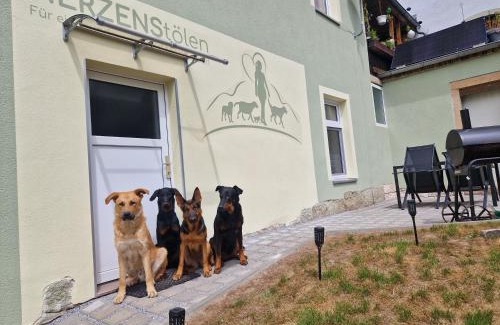Sebnitz Apartamento | FeWo Herzenstölen