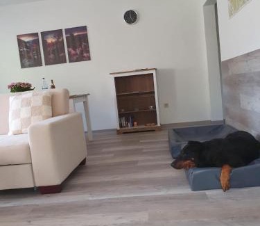Sebnitz Apartamento | FeWo Herzenstölen