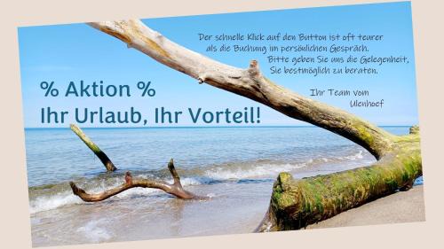 Born auf dem Darss Apartamento | FeWo Käuzchen - Ulenhoef