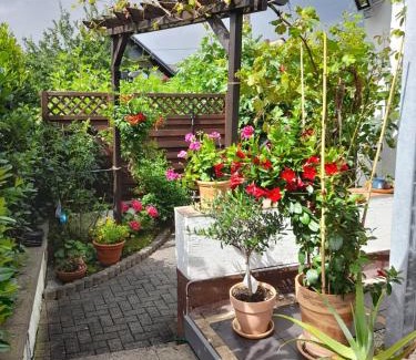 Ellenz Apartamento | FeWo Karola