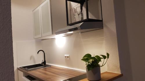 Winningen Apartamento | FeWo -Kleines Moselglück- in Winningen bei Koblenz