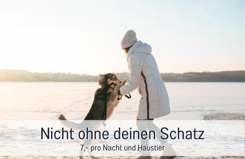Steinberg Apartamento | Fewo Kleines Nest strandnah optimal für Alleinreisende und Paare mit Haustier