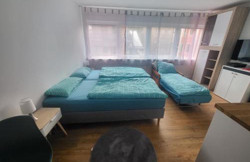 Gruna Apartamento | FeWo-Misterek nähe Großer Garten