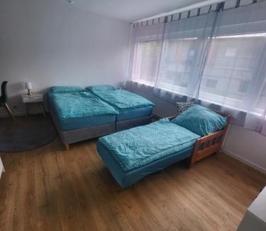 Gruna Apartamento | FeWo-Misterek nähe Großer Garten