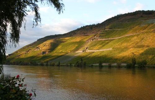 Bernkastel Apartamento | Fewo Mosel & mehr