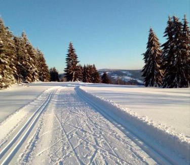 Klingenthal Apartamento | Fewo-Mueller