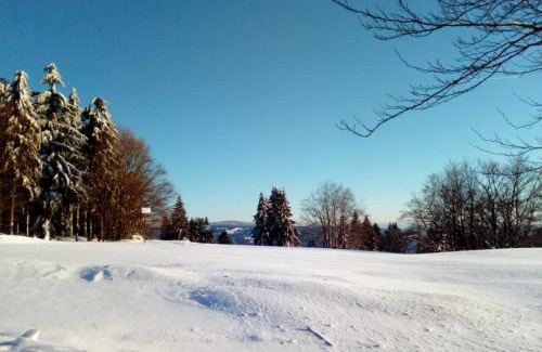 Klingenthal Apartamento | Fewo-Mueller