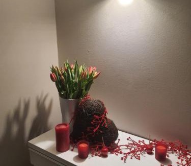 Altstadt Apartamento | FeWo Sonne