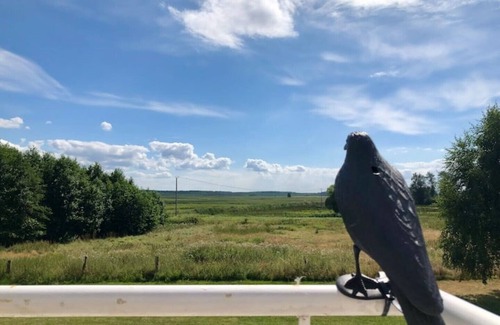 gmina Wolin Condominio | Fewo "traumblick" Kleines Reetdorf in Ostseenähe