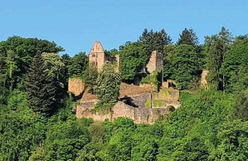 Waldbrunn Apartamento | Fewo Waldtherme cycling, relaxing,