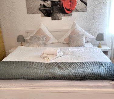 Todtmoos Apartamento | Fewo Zeus mit großer eingezäunter Terrasse