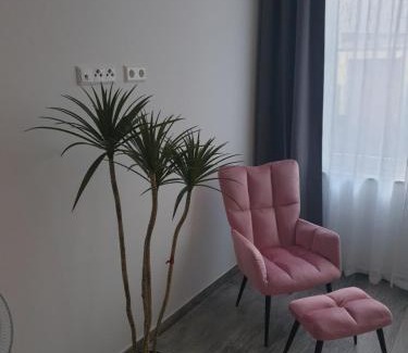Gablenberg Apartamento | FeWo - Zur Alten Wäscherei - Zentrumsnah - Garage inklusiv