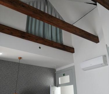 Aveiro Apartamento | Ficus Benjamina