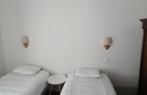 Aveiro Apartamento | Ficus Benjamina