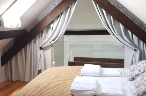 Aveiro Apartamento | Ficus Benjamina