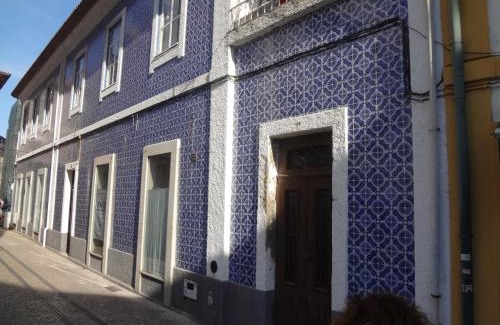 Aveiro Apartamento | Ficus Benjamina