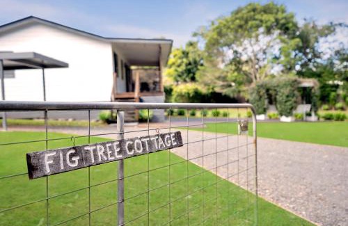 Peachester Casa | Fig Tree Cottage @ Sunshine Grove