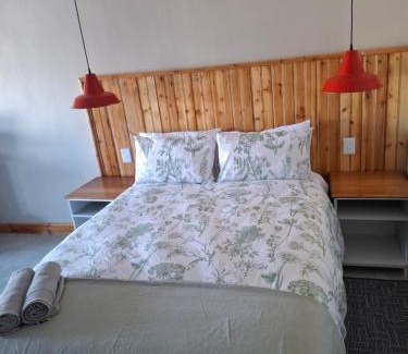 Colesberg Casa | Fig Tree