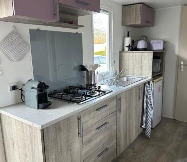 Gasselte Otro | Figaro - Gasselte, Drenthe
