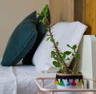 Petralona Apartamento | Filena's Cozy Studio