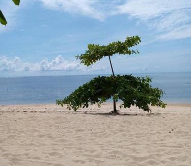 Alegria Apartamento | Filmegs Seaside