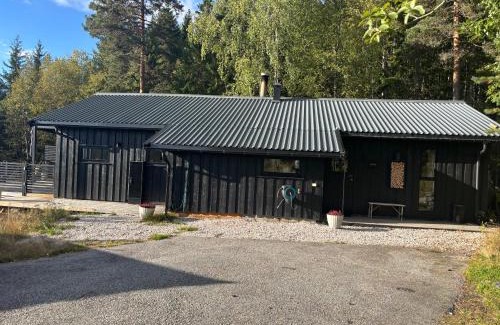 Kviteseid Casa | Fin familiehytte i Vrådal hyttegrend med mange aktiviteter!