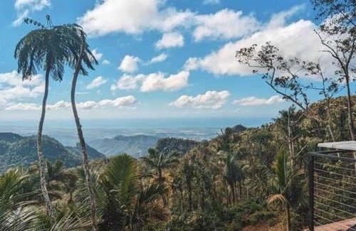 Collores Casa | Finca Azul