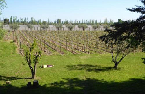 Maipú Casa | Finca Bravi