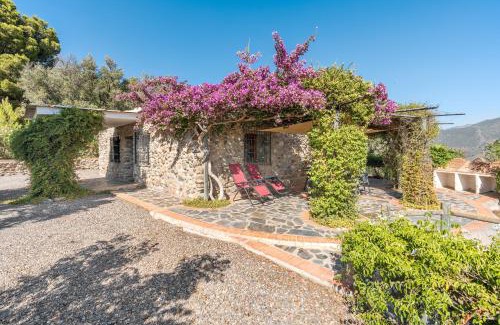 Orgiva Casa | Finca El Gales Cortijo Los Olivos