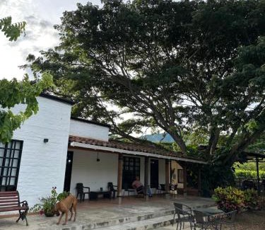 Roldanillo Casa | Finca el origen 2025