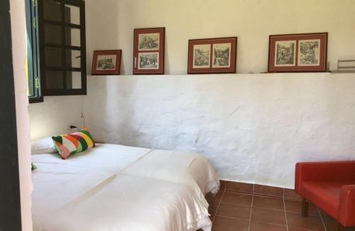 Telde Casa | Finca Hoya del Pozo