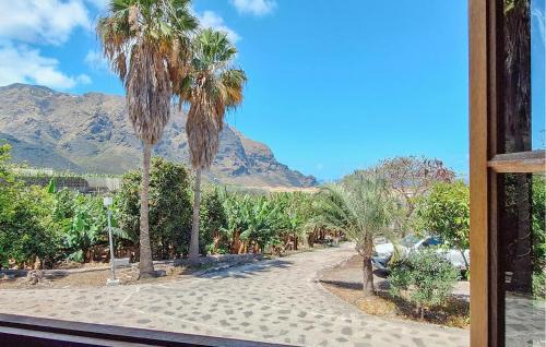 Buenavista del Norte Apartamento | Finca La Cancela
