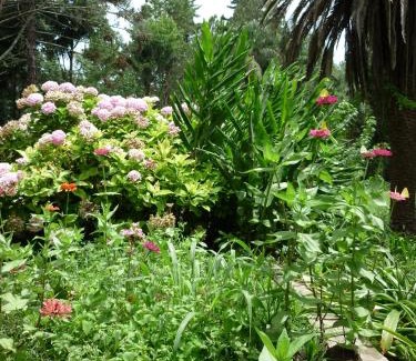 San Salvador de Jujuy Cabina | Finca La Colorada