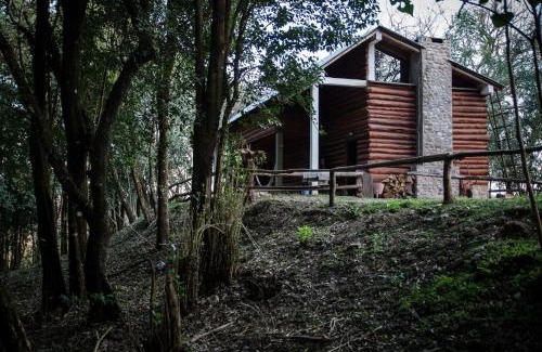 San Salvador de Jujuy Cabina | Finca La Colorada