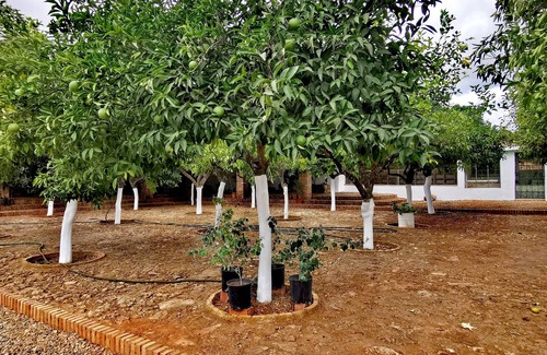 Hornachuelos Casa | " Finca La Fuensanta "