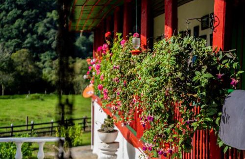 Salento Otro | Finca La Playa Ecohotel - Experiencia Campestre -