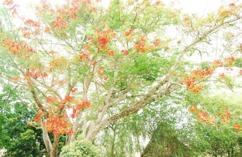 Santa Fe de Antioquia Casa | Finca la Querendona