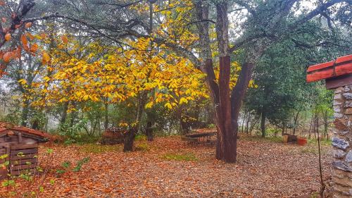 Galaroza Casa | Finca la Viriñuela