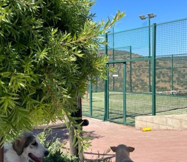 Dehesilla de Guzmán Casa | FINCA LAS DEHESILLAS
