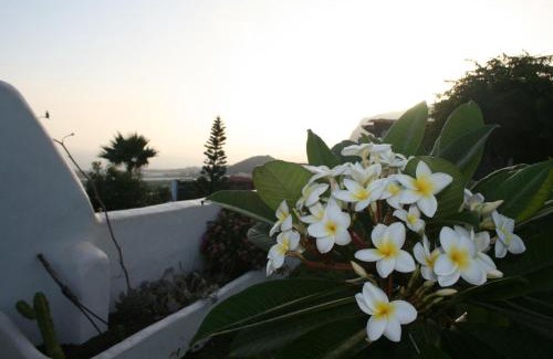 Los Silos Apartamento | Finca las Mariposas
