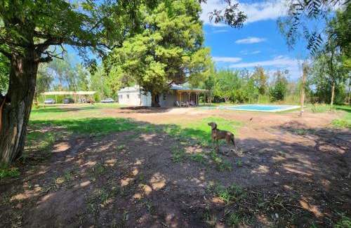 Región vinícola de Mendoza Casa | Finca Laurel