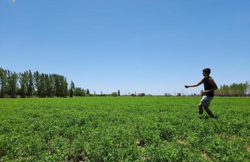 Región vinícola de Mendoza Casa | Finca Laurel