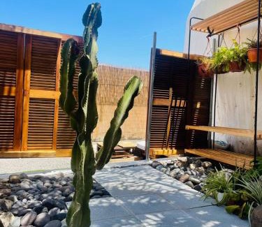 Agaete Apartamento | Finca Oaxaca - Casa Tortuga